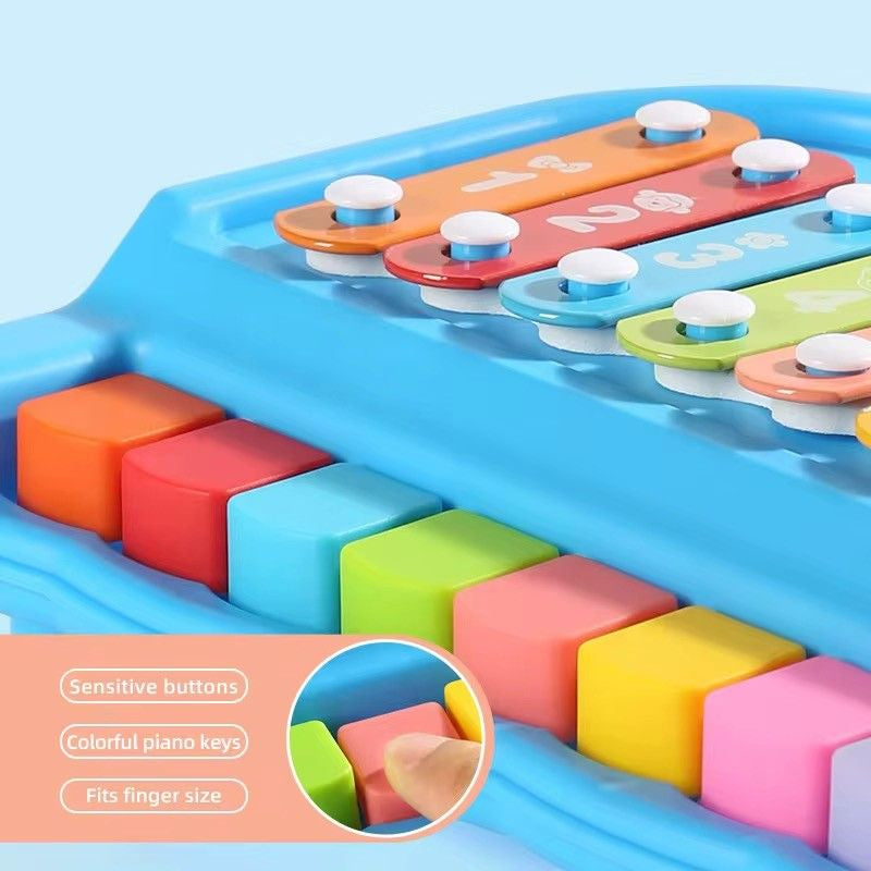 2 in 1 Baby Musical Instrument Toy