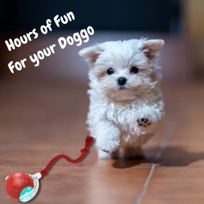 Smart Interactive Pet Toy