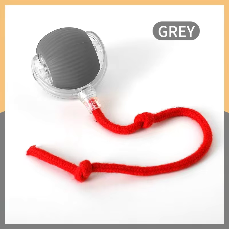 Smart Interactive Pet Toy