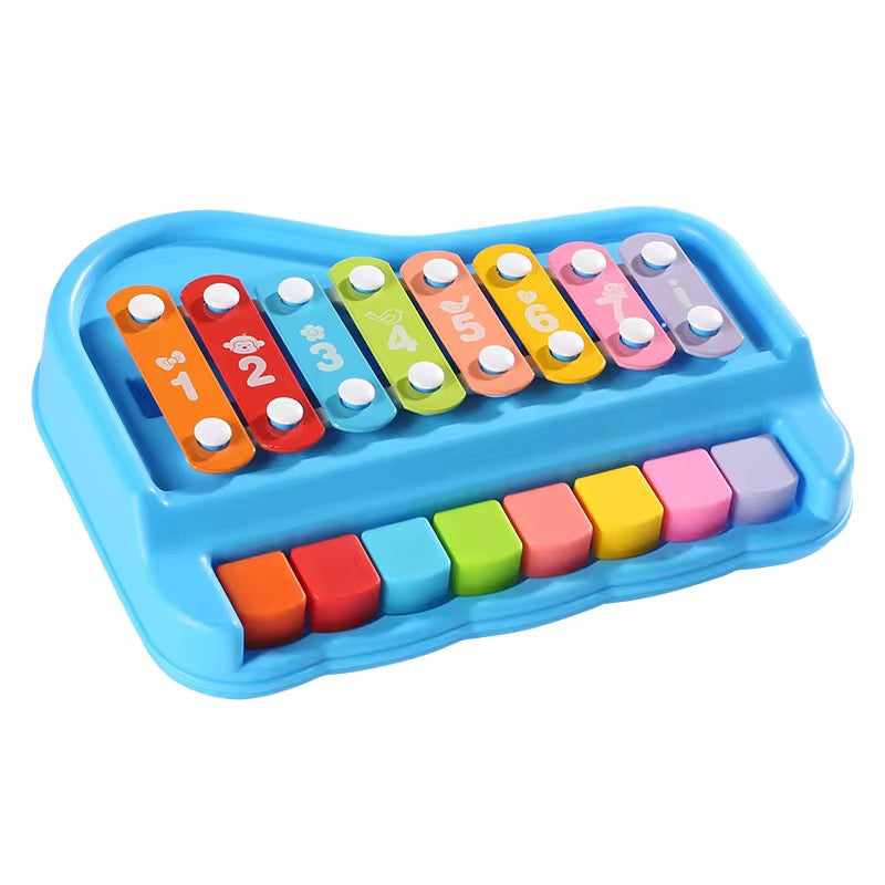2 in 1 Baby Musical Instrument Toy