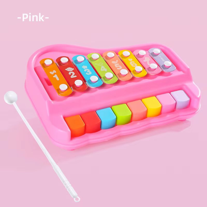 2 in 1 Baby Musical Instrument Toy