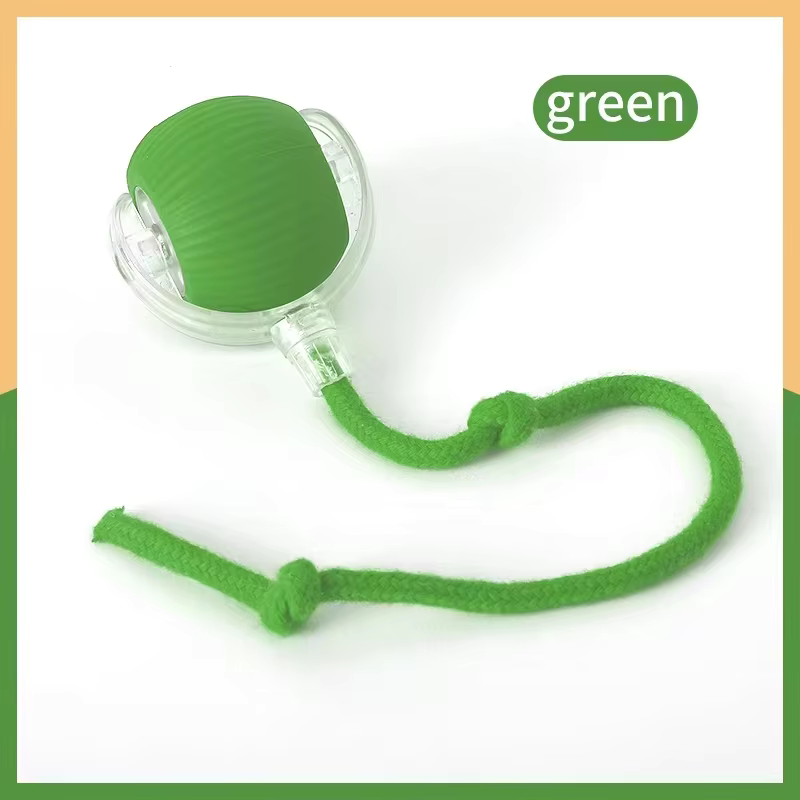 Smart Interactive Pet Toy