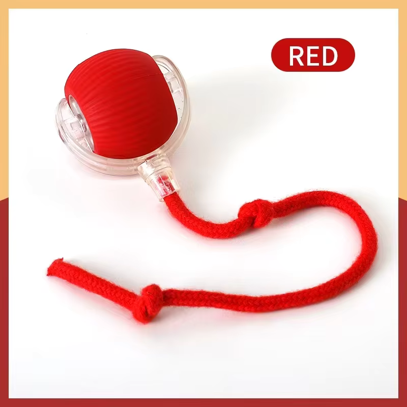 Smart Interactive Pet Toy