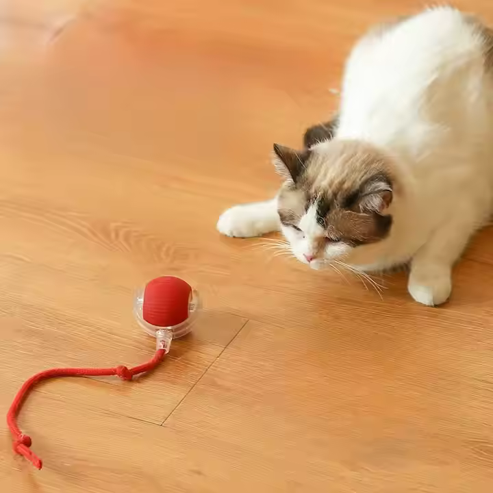 Smart Interactive Pet Toy